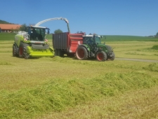 Glück ist Sonnenschein im Frühling