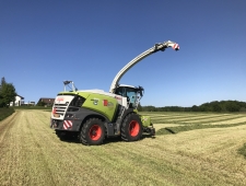 Glück ist Sonnenschein im Frühling